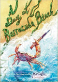 Day at Barracuda Beach